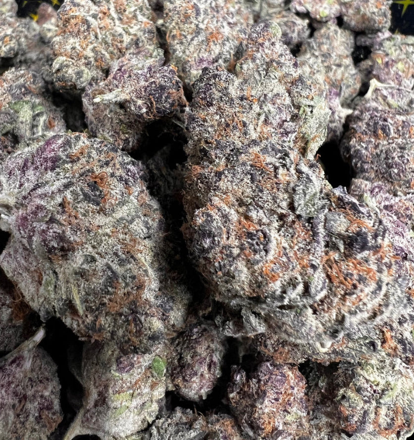 Flower: Blockberry 5G