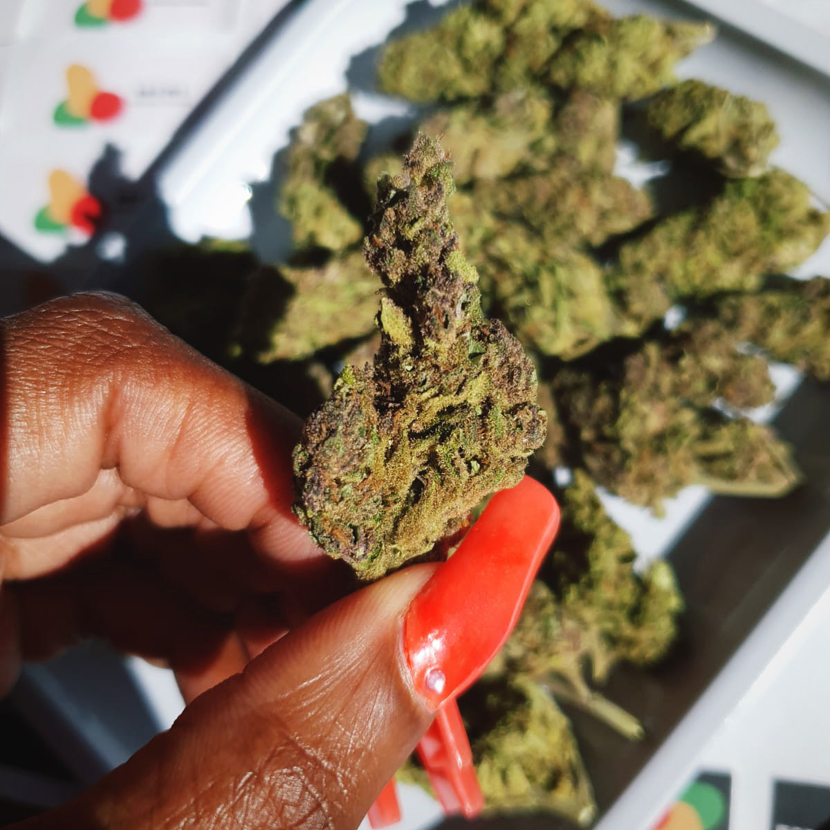 Combo: Flower Bomb