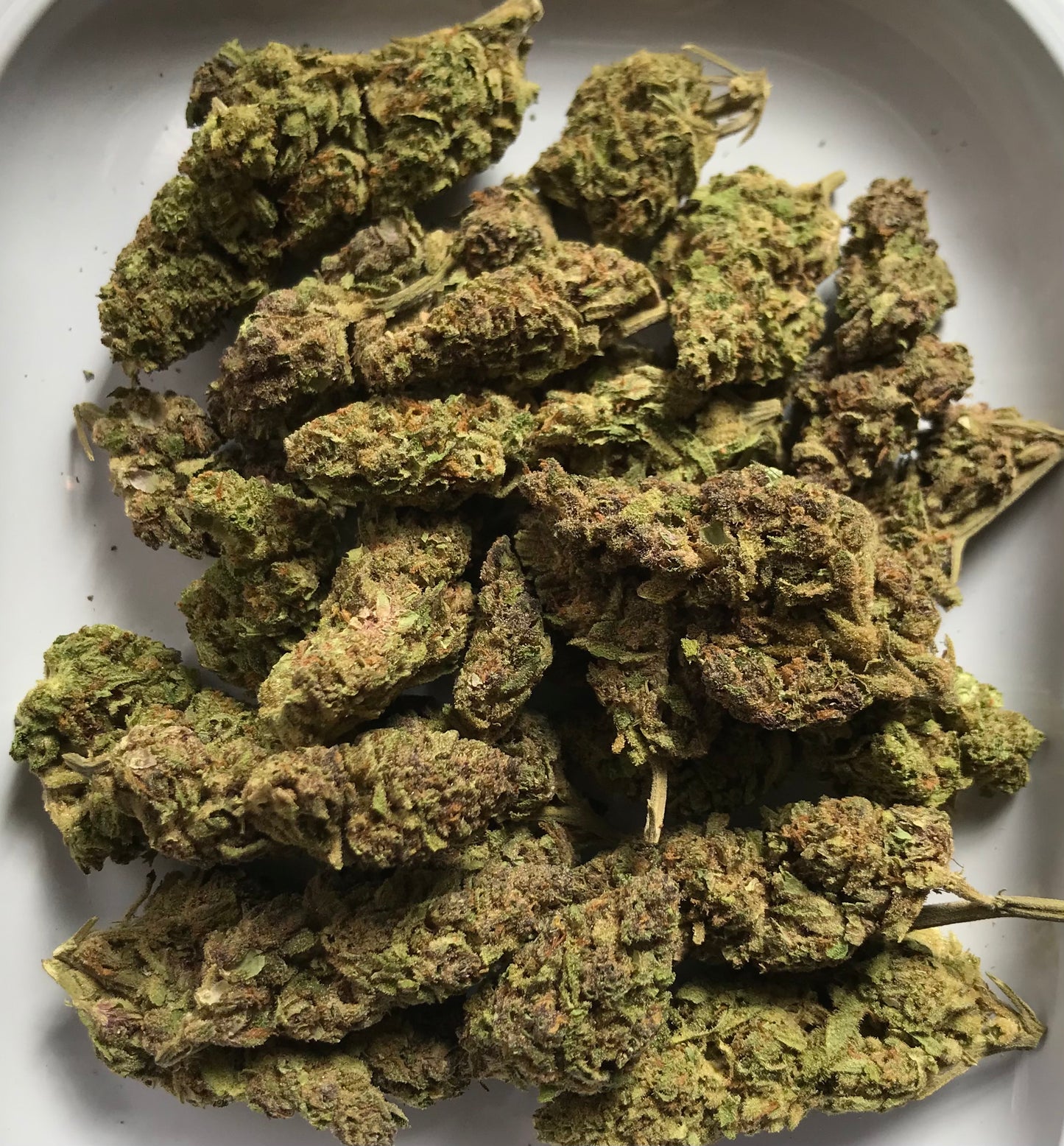 Flower: Twisted Pie 3G