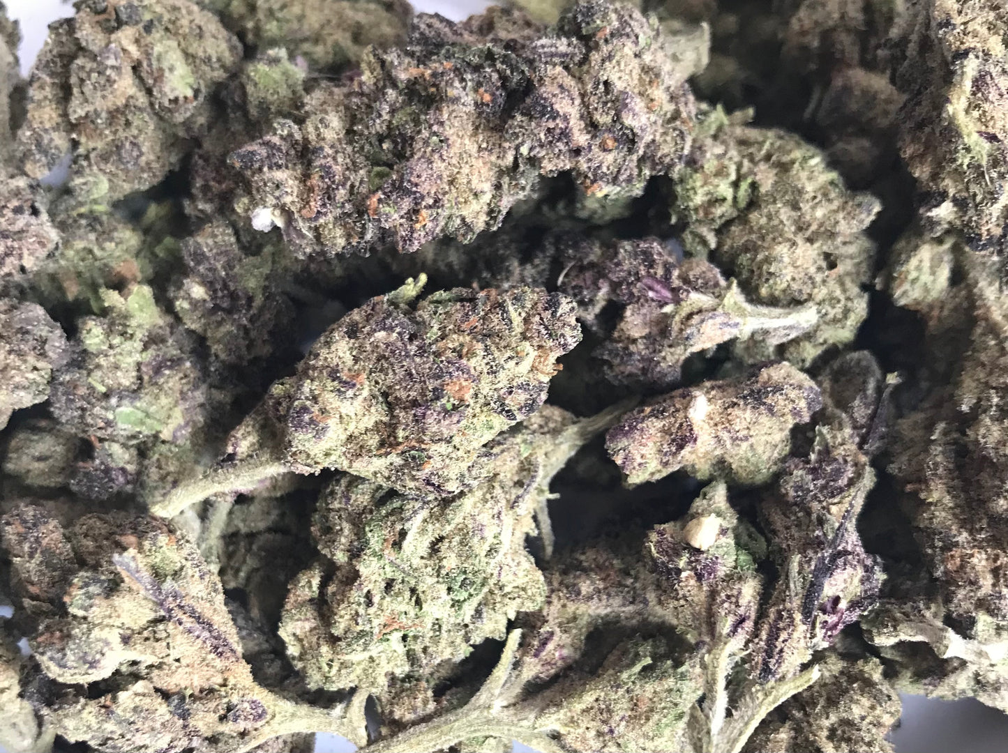 Flower: Rainbow Mintz 1G