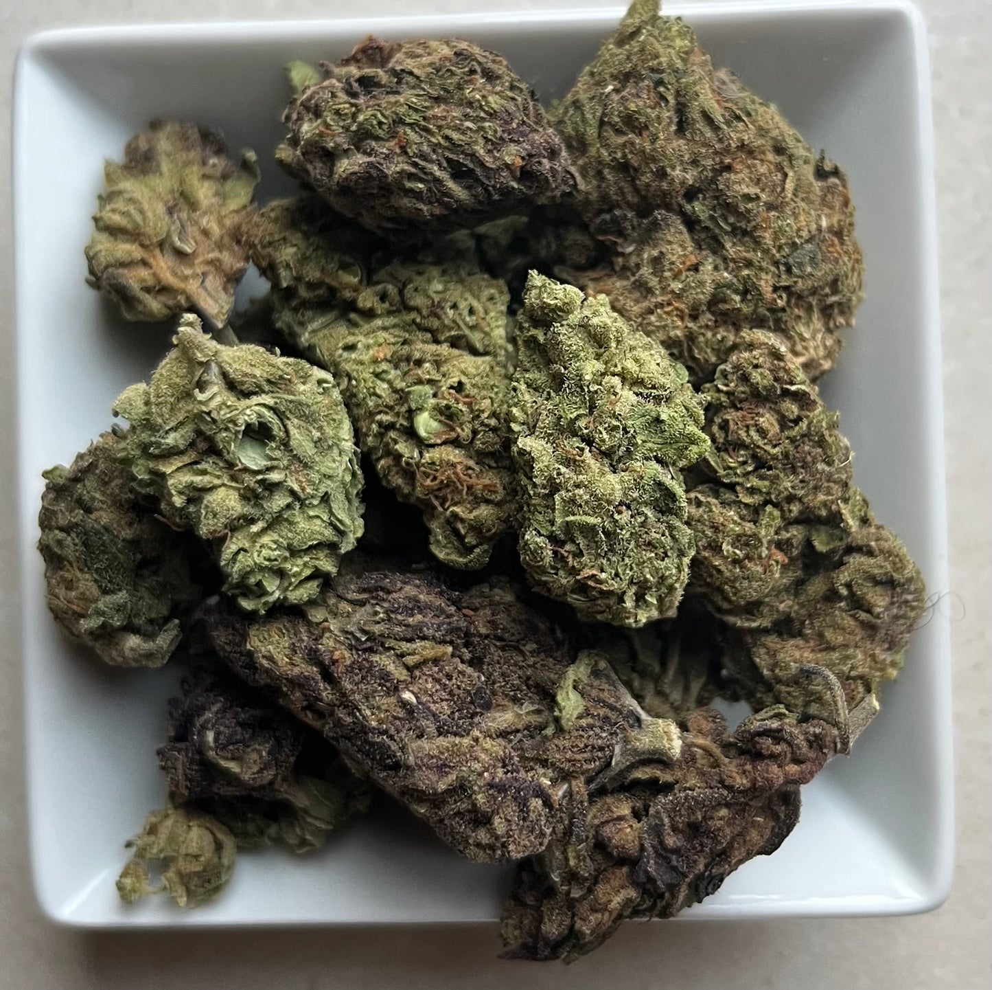 Flower: Mack & Jack 5G