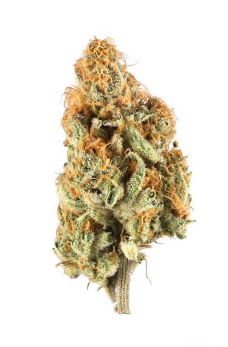 Flower: Devine Storm (Pops) 10G.