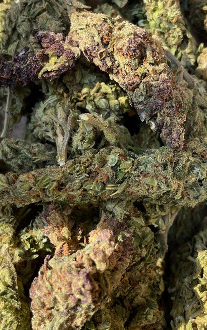 Flower: Blueberry Sunset  1G