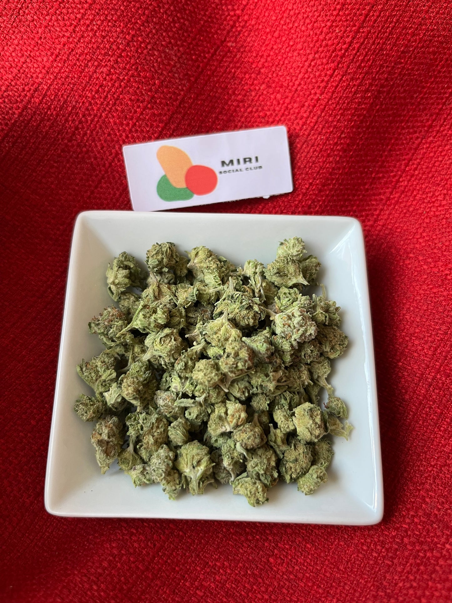 Flower: Devine Storm (Pops) 10G.