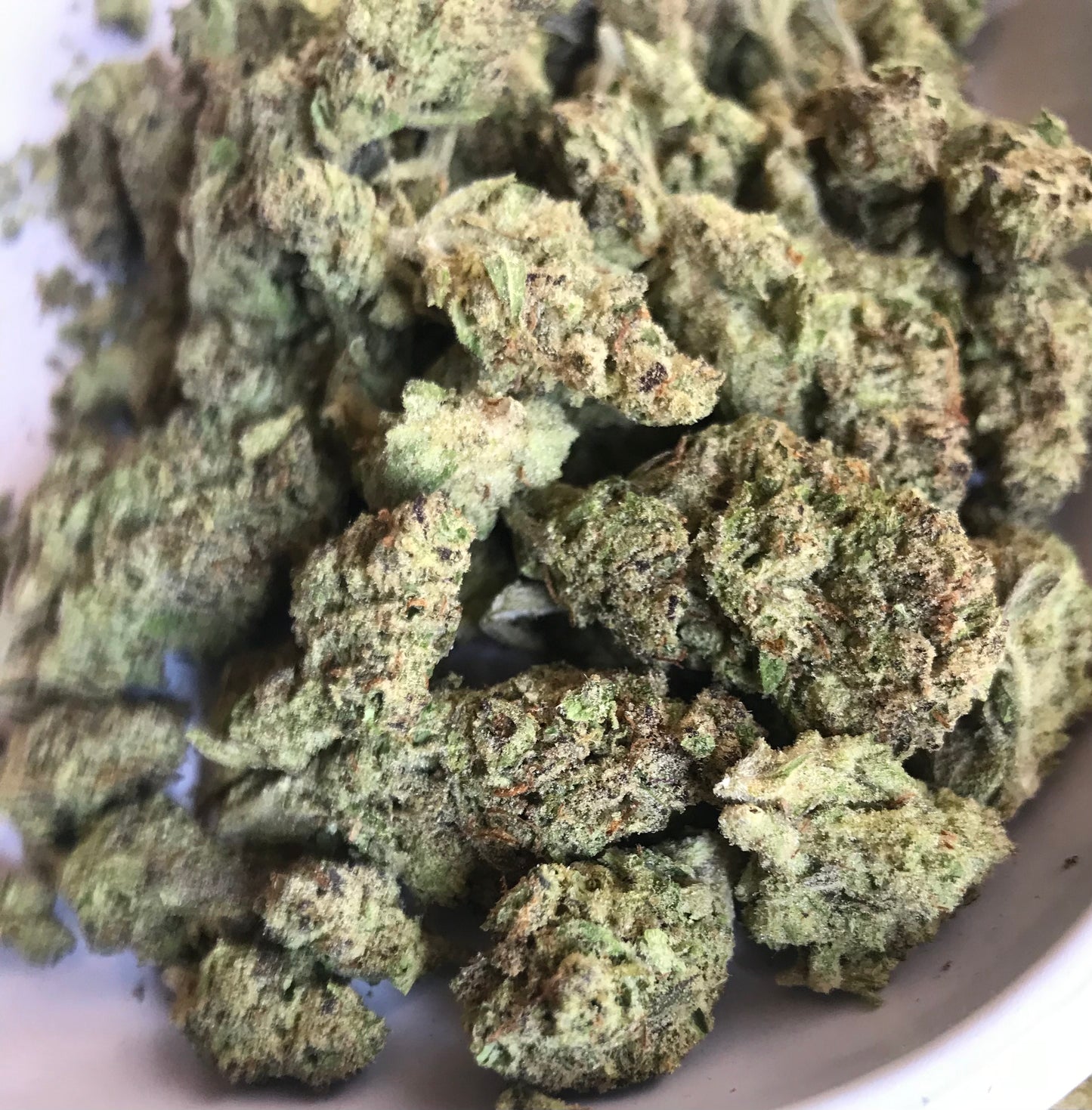 Flower: Apple Fritter 1G