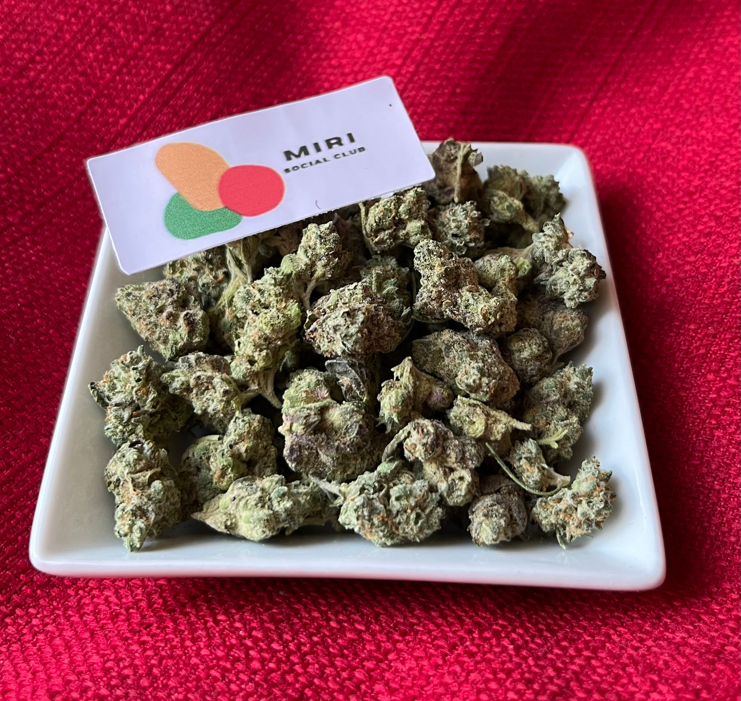 Flower: Bottom Bird 1G