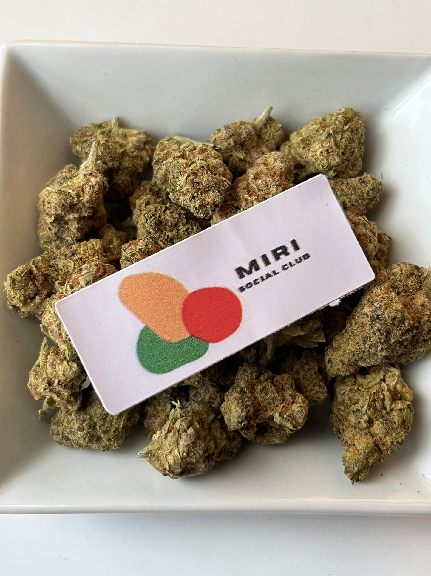 Flower: Purple Punch 1G