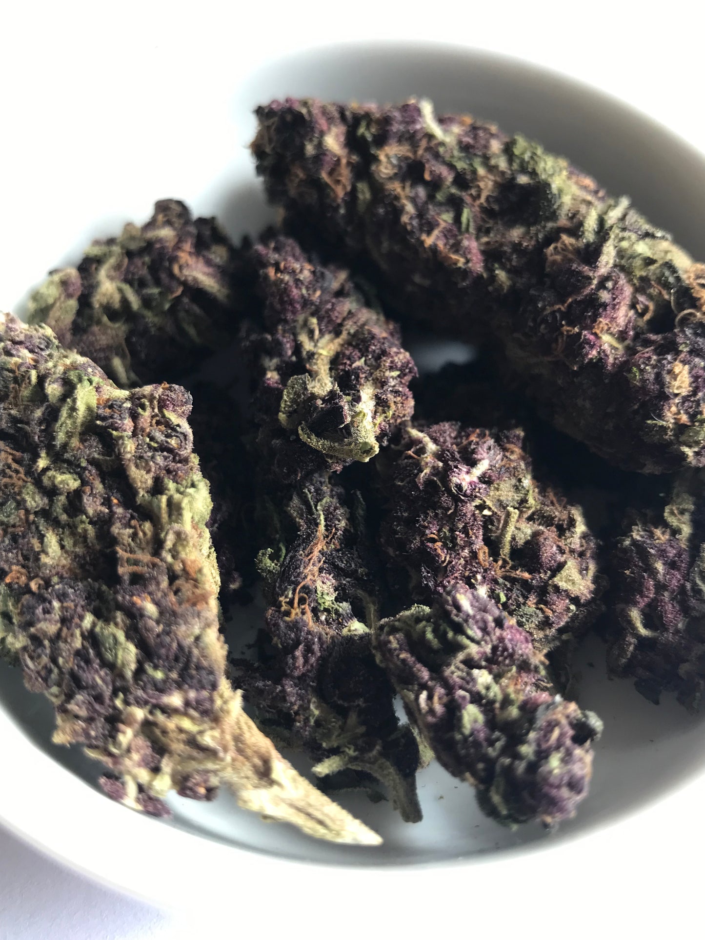 Flower: Purple Dream  1G