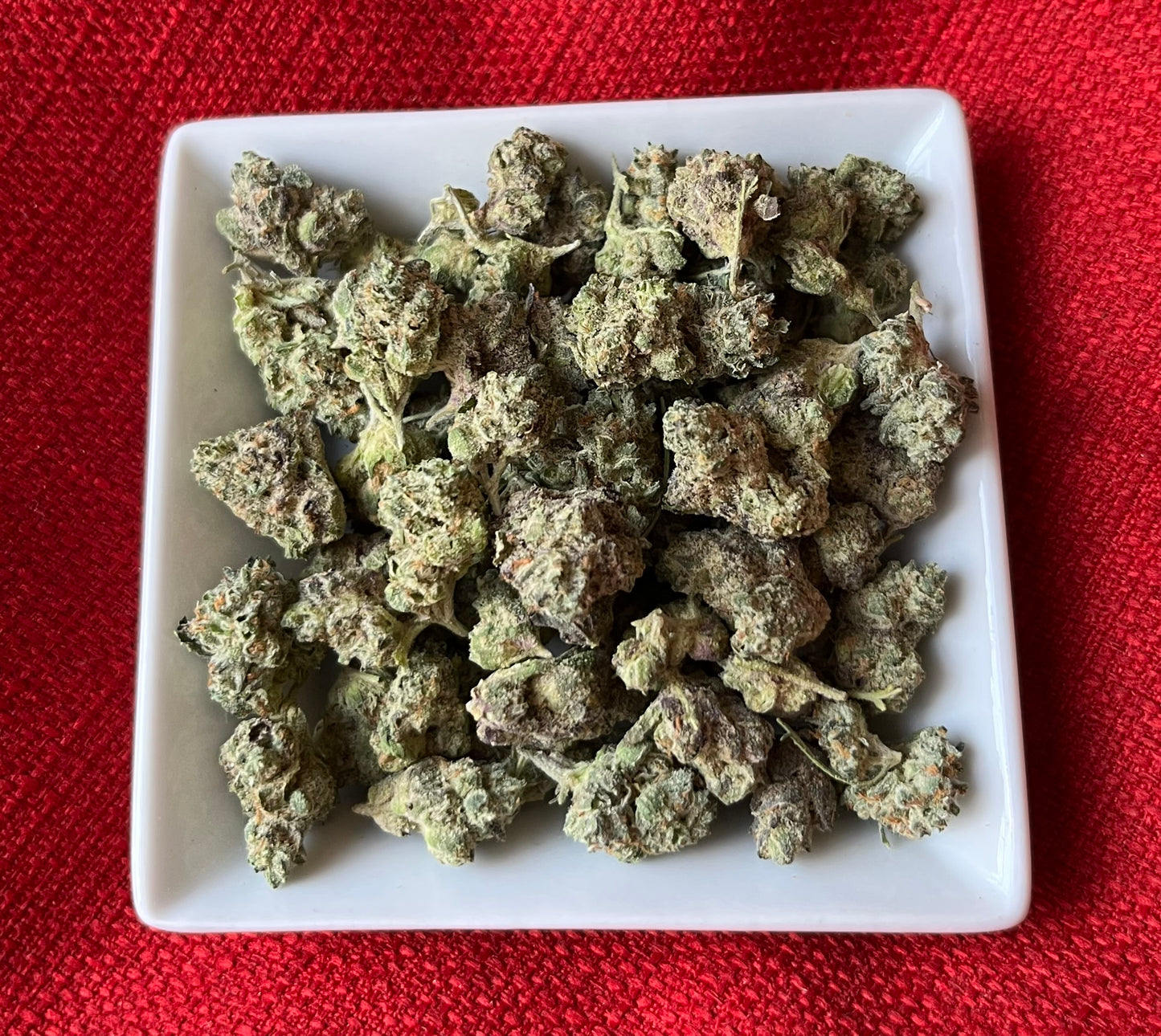 Flower: Bottom Bird 1G