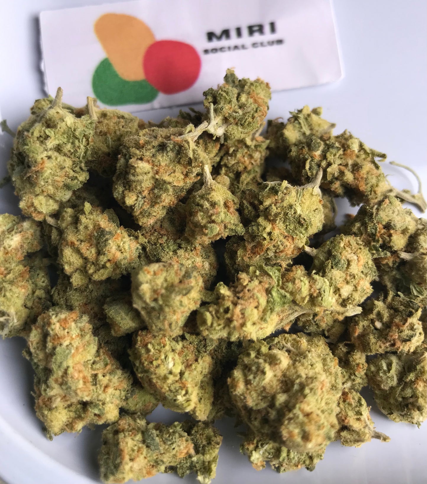 Flower: Strawberry Guava 1G