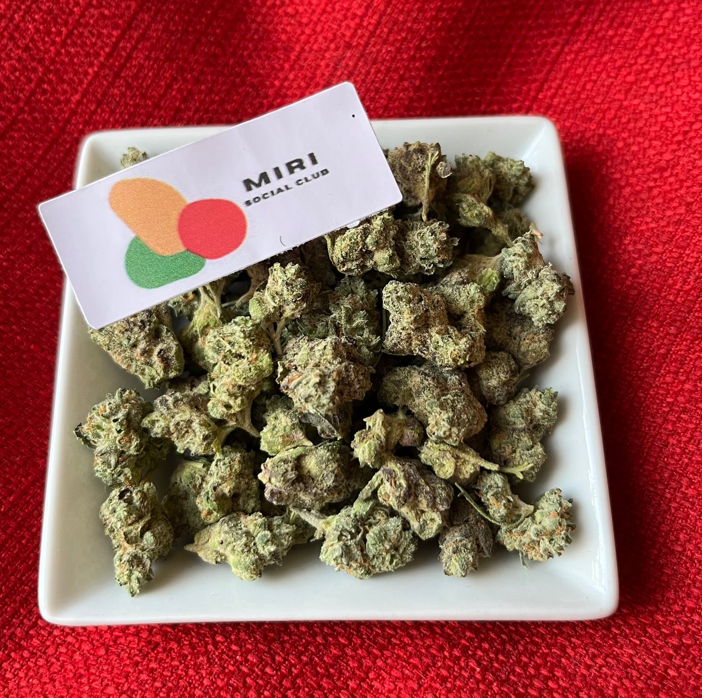 Flower: Bottom Bird 1G