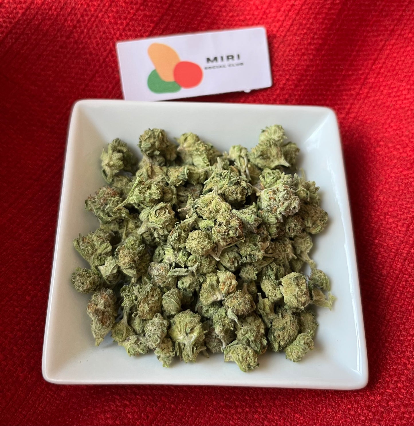 Flower: Devine Storm (Pops) 10G.