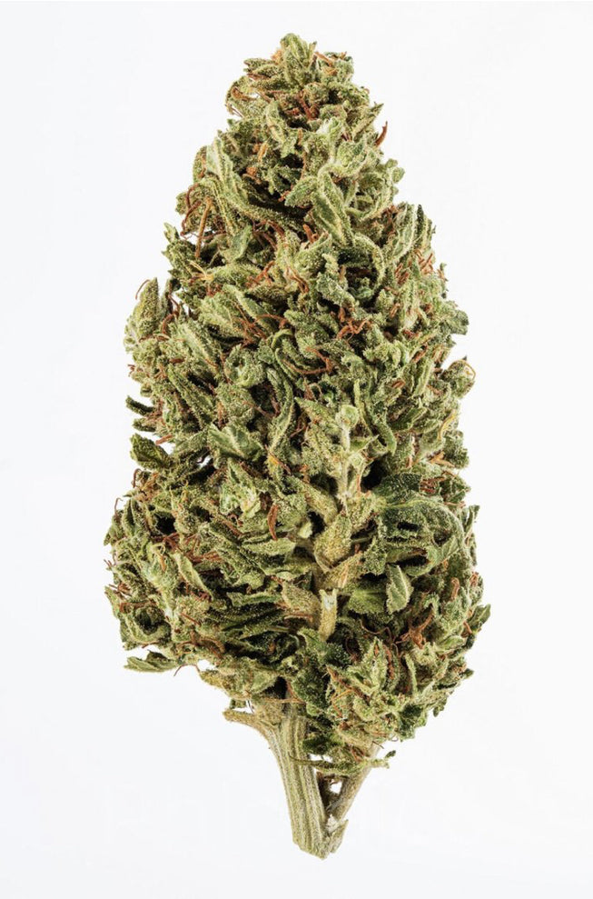 Flower: Jack Herer  1G