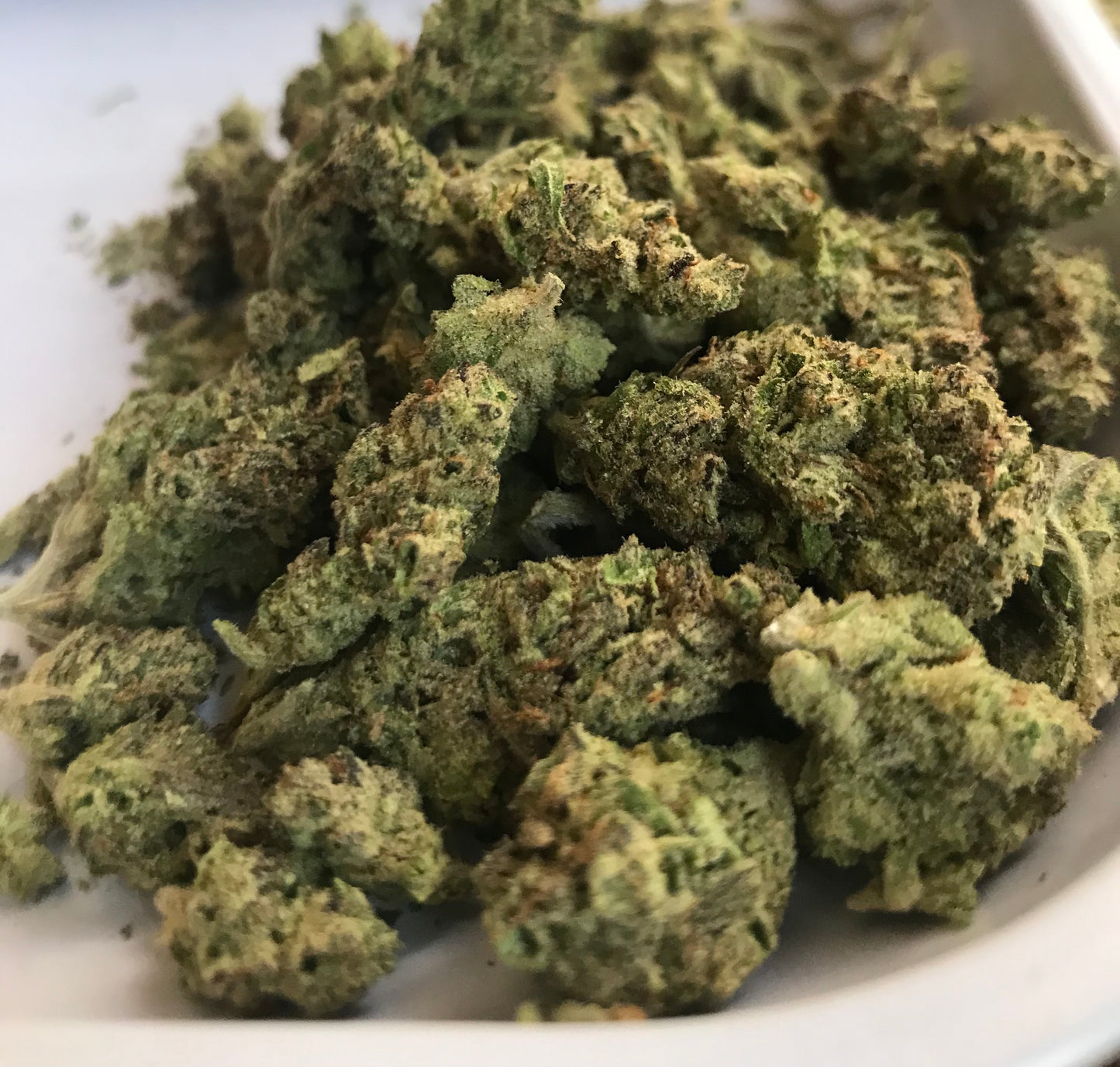 Flower: Apple Fritter 1G