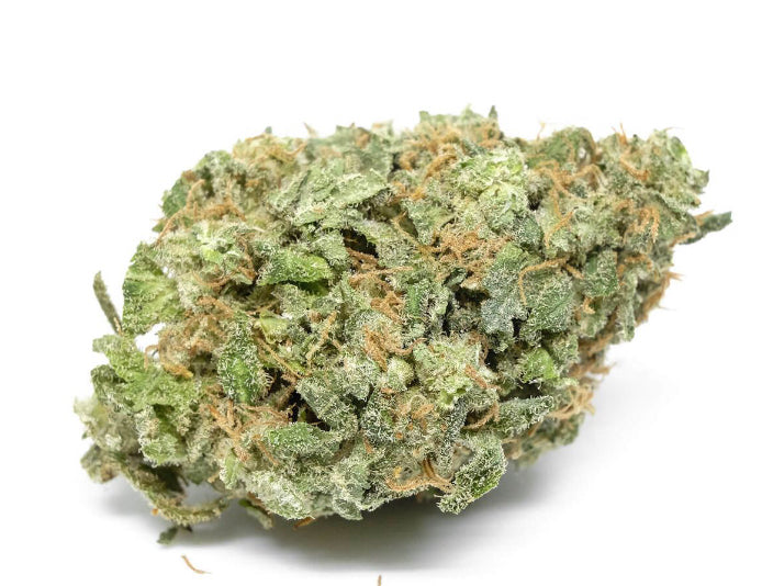 Flower: White Widow 5G