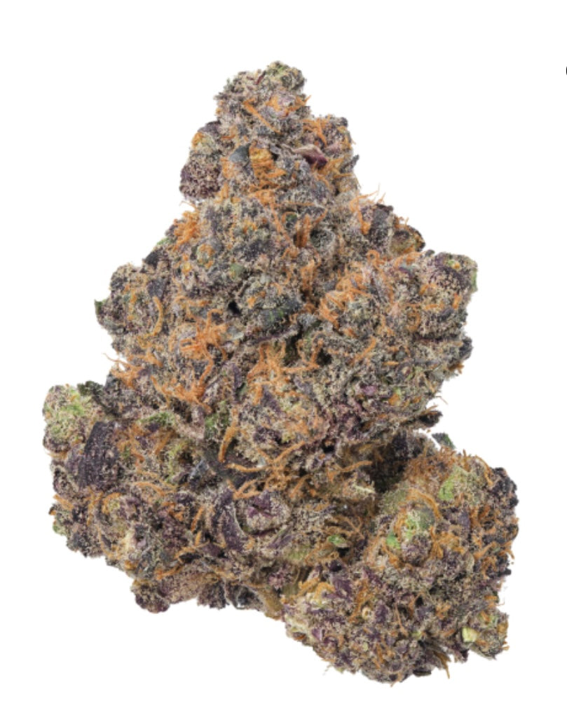 Flower: Bottom Bird 1G