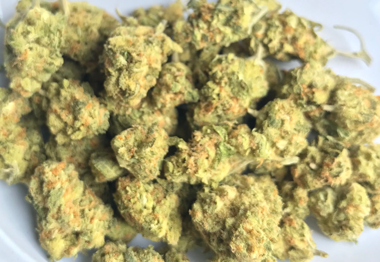 Flower: Strawberry Guava 1G