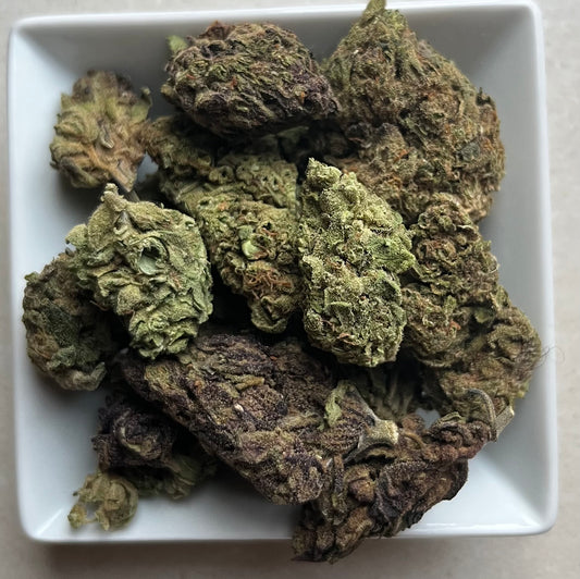 Flower: Mack & Jack 5G