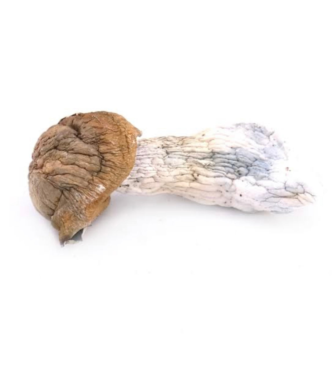 Psychedelic: Tidal Wave 5G